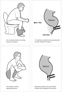 sit-vs-squat